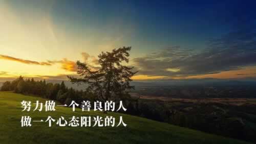 被黑系统维护不能出款操作办法（图）