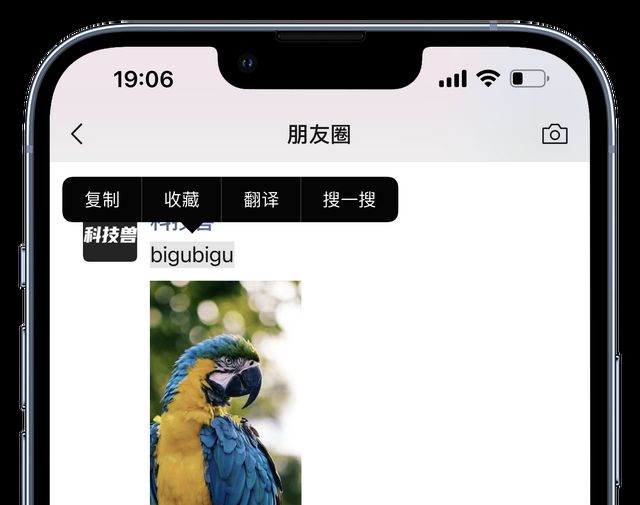 微信字体颜色(iOS微信8022版本新功能总结) iOS微信8.0.22版本新功能总结,群聊管理更方便