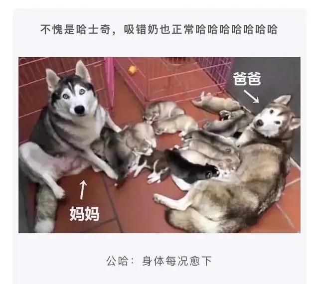 查对象聊天记录，搜索什么关键字最有可能出事？