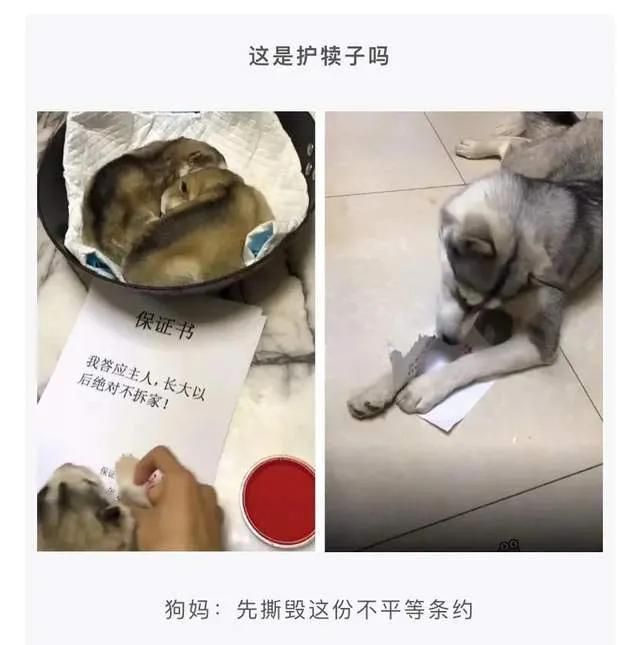 查对象聊天记录，搜索什么关键字最有可能出事？