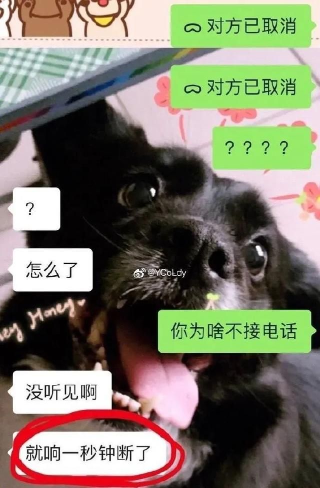 给对象打语音“对方忙线中，怎么不接电话？”他们会有什么反应