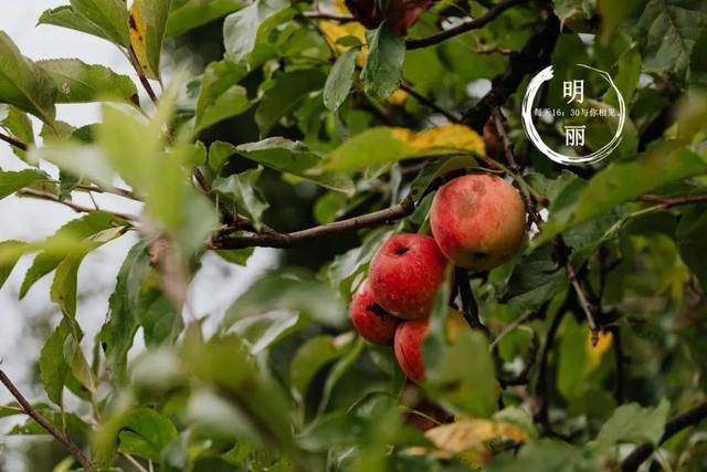 婚姻里遇到第三者不要慌，维情婚姻咨询师教原配妻子分离第三者
