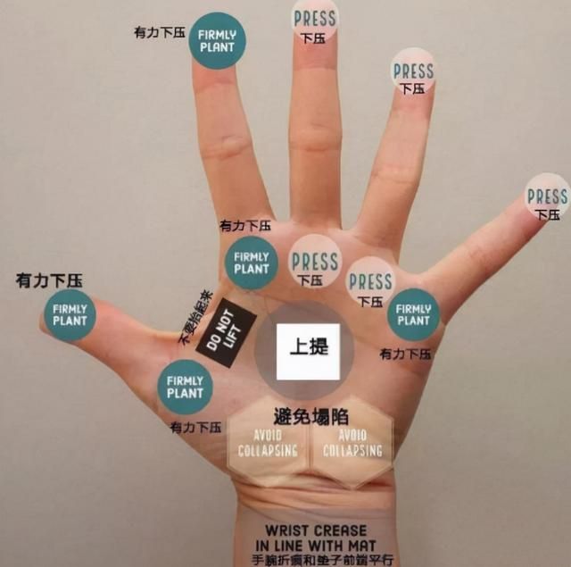 手腕在哪个位置(瑜伽干货分享1个小技巧) 瑜伽干货分享:1个小技巧,远离手腕疼