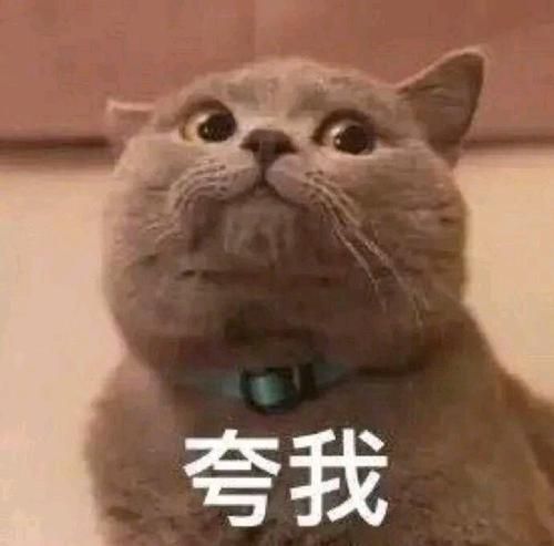 微信信息怎么恢复聊天记录(微信聊天记录意外删除不要慌) 微信聊天记录意外删除不要慌,教你正确找回聊天记录